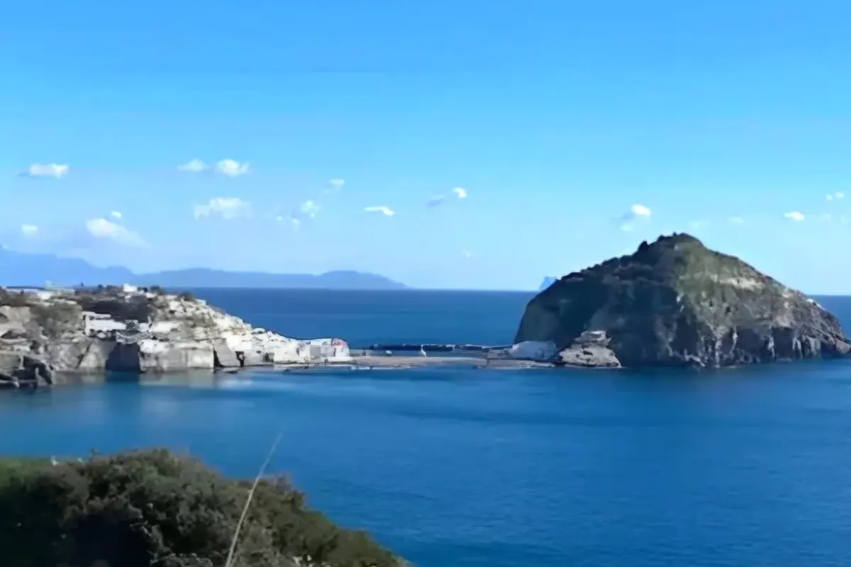 Foto dell'azienda