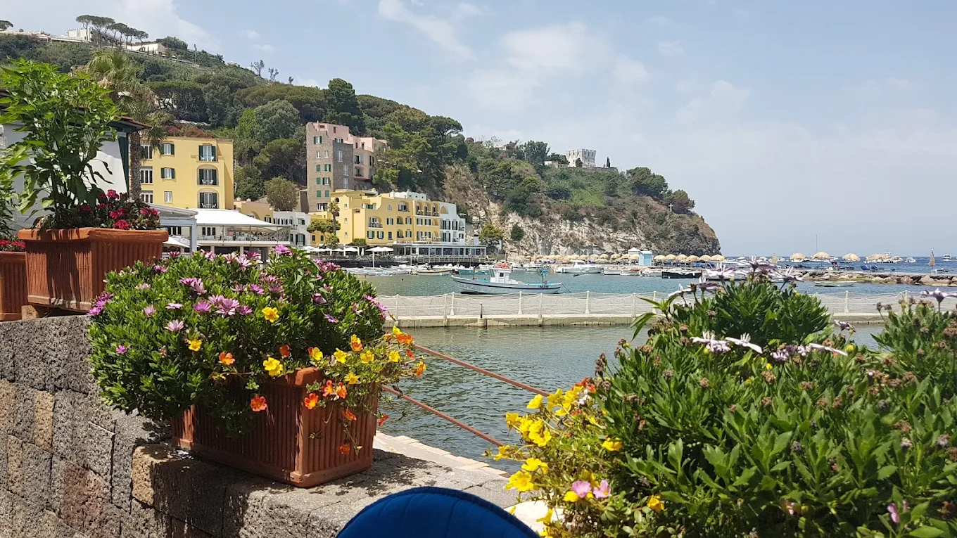 Foto dell'azienda